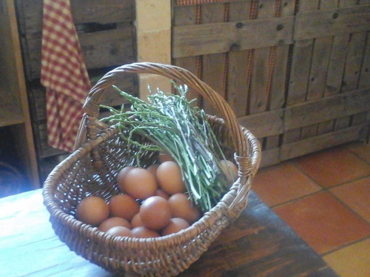 La Maison De Campagne Carcès Eksteriør billede
